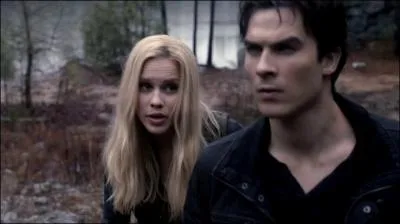 Que dit Rebekah  propos de Damon sur l'le ?