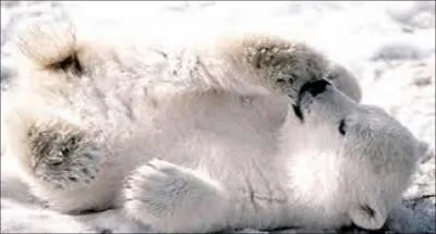 Quelle est la traduction anglaise de ours ?