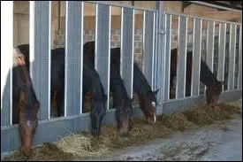 Comment s'appelle cet hbergement ?