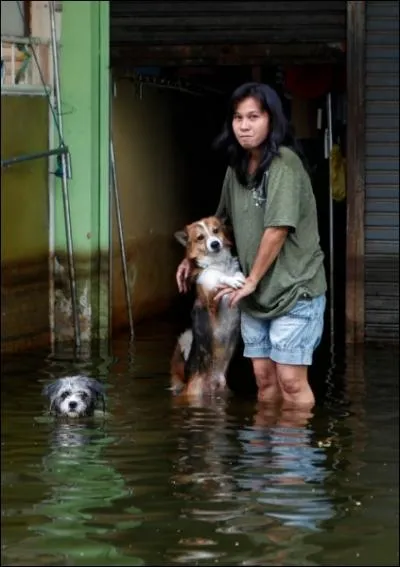 Dans cette le autrefois franaise, les inondations ont frapp dbut avril 2013 !