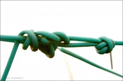 Ce groupe est formidable, ils sont tous... les uns les autres.