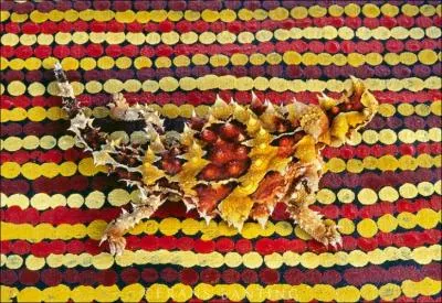 Ce moloch du dsert australien mesure environ 17 cm et change de couleur selon ses motions. Mais est-il capable de gonfler son corps pour impressionner ses adversaires en cas d'attaque ?