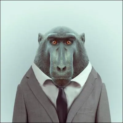 Procdez par limination pour trouver la bonne rponse !