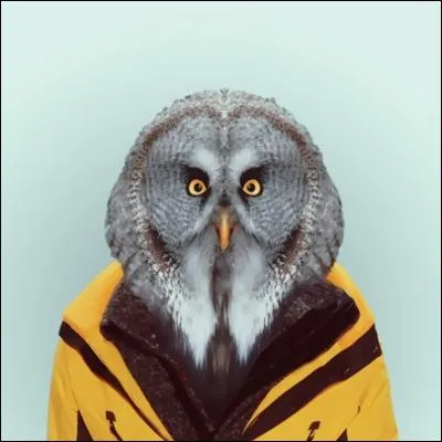 Finalement, bien habille, elle est plutt ...