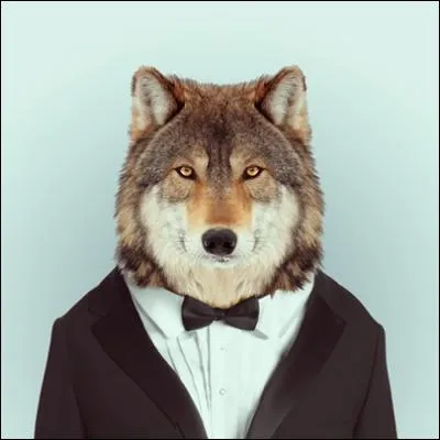 Il fit bien des misres  la chvre de Monsieur Seguin !