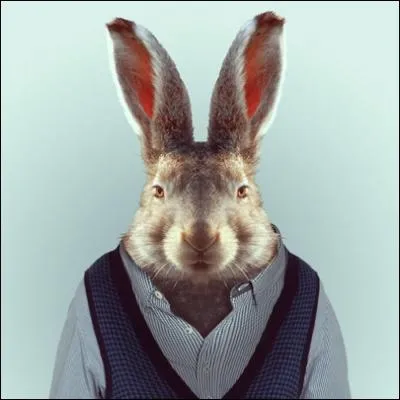 Il est trs rapide, mais un peu trop sr de lui, il s'est d'ailleurs, dans une fable clbre, fait battre par une tortue, la honte !