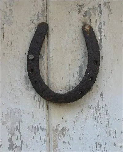 Le fer  cheval porte :