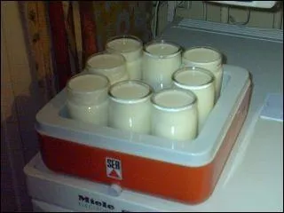 Les Mongols, qui vivaient dans des yourtes en mangeant des yaourts, n'utilisaient pas encore ce modle. Comment s'appelle-t-elle ?