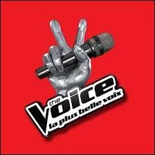 Qui prsente  The Voice, La plus belle voix  ?