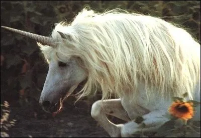 Cette image prsente-t-elle une chose relle ou pas ?