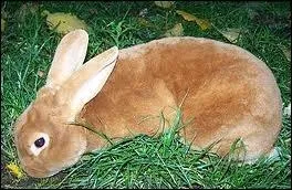 Quelle est celle-ci ?