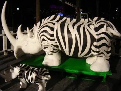 Le rhinocros blanc est gris :