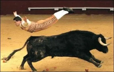 Le rouge excite les taureaux :