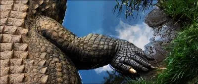 Cette partie d'anatomie doit vous suffire pour dcouvrir son nom !