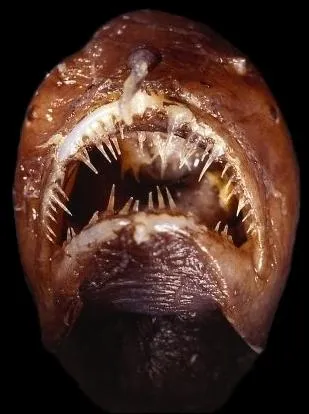 Fouillez au plus profond pour trouver ce mot !