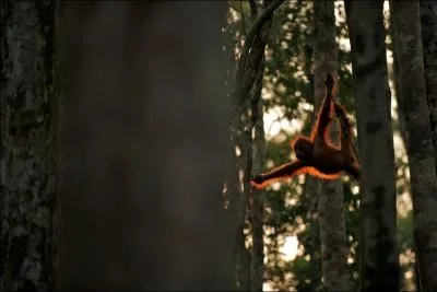 Un seul mot doit vous venir  l'esprit !