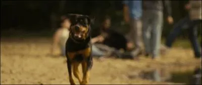 Comment s'appelle la chienne ?