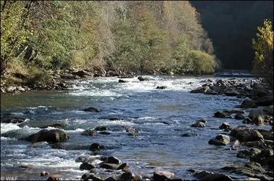 Les eaux de la rivire (... ... . ), enflrent en une matine.
