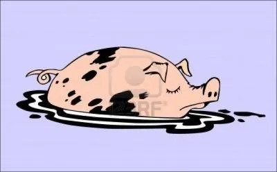 Comment dit-on sale en anglais ?