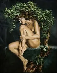 Les dryades sont les nymphes des...