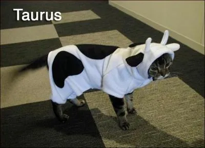 Si vous pensez que le Taureau fonce sans rflchir, vous avez tort,  quelle plante se rapporte-t-il ?