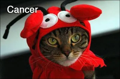 Le Cancer, quant  lui, est protg par Slne !