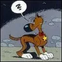 Quel est le nom de ce chien ?