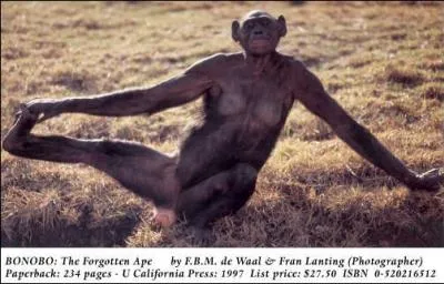 Quel est cet animal ?