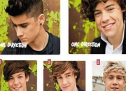 Quiz One Direction : Up All Night