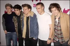 Dans la chanson   What Makes you beautiful  , qui chante le refrain tout seul ?