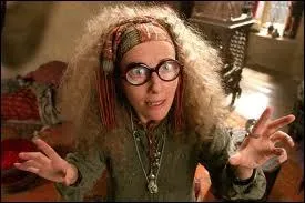 Dans  Harry Potter et le prisonnier d'Azkaban , que voit le professeur Trelawney dans la tasse d'Harry durant le cours de divination ?