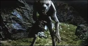 Dans  Harry Potter et le prisonnier d'Azkaban , qui fait le cri du loup-garou pour empcher Lupin de se battre avec Harry aprs sa transformation en loup ?