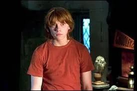 Dans  Harry Potter et la coupe de feu , pourquoi Ron ne parle-t-il plus  Harry ?