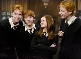 Dans  Harry Potter et l'ordre du phnix , qui jette un rducto trs puissant dans la famille Weasley ?