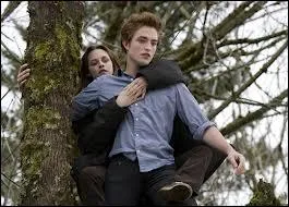 Qui est l'auteur de la saga Twilight ?