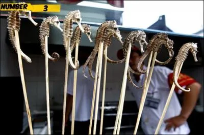 C'est un mets de choix car il est rare. Heureusement ! Comme l'aurait dit Obélix, ils sont fous ces Chinois avec leurs :