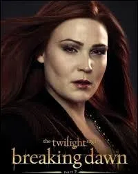 De combien de membres se compose le clan des Irlandais ?