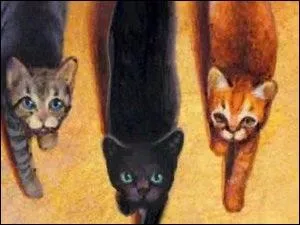 Qui est le chat au milieu ?