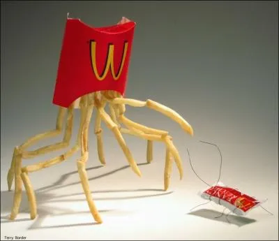 Dans ce film, les arachnides menacent le monde !