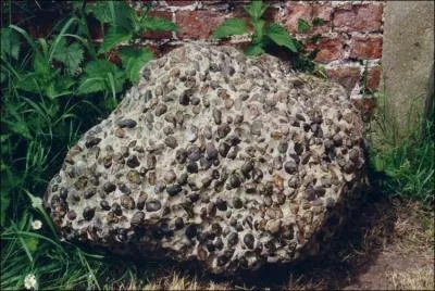 Comment se traduit le  poudingue  en anglais ?