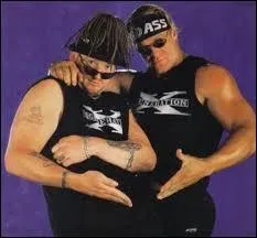 Combien de fois les New Age Outlaws ont-ils remport les titres par quipe de la WWE (2015) ?