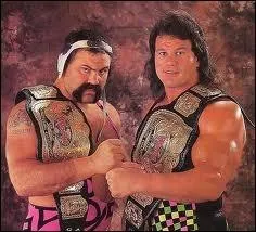 Durant quelle priode les Steiner Brothers ont-ils lutt en quipe  la WWE ?