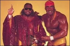 Comment se nommait cette quipe mythique forme par ces deux lgendes du catch ?