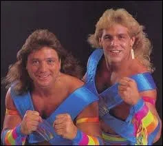 Quelle fut la cause qui marqua la fin des Rockers (ou Midnight Rockers), cette quipe compose de Shawn Michaels et Marty Jannetty ?