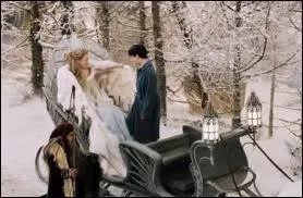 Dans  Le Monde de Narnia : Le Lion, la Sorcire blanche et l'Armoire magique , quelles friandises offre la sorcire  Edmund dans son traneau ?