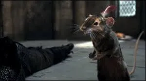 Dans  Le Monde de Narnia : Le Prince Caspian , quelle rflexion fait Ripitchip  Trompillon lorsqu'il le voit entrer pour l'aider lui et ses amis souris  effectuer le plan de Peter pour coincer Miraz ?