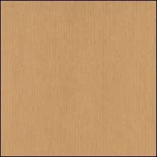 Eden Hazard a la peau brune ?