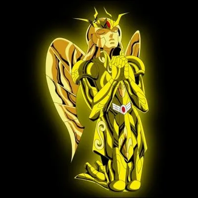 A qui appartient cette armure d'or ?