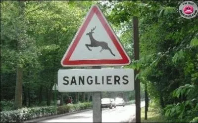 Par quel terme dsigne-t-on la femelle du sanglier ?