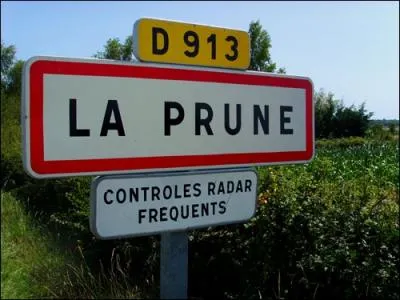 Devant le bateau, sur le pare-brise, je suis le papillon. Qui suis-je ?